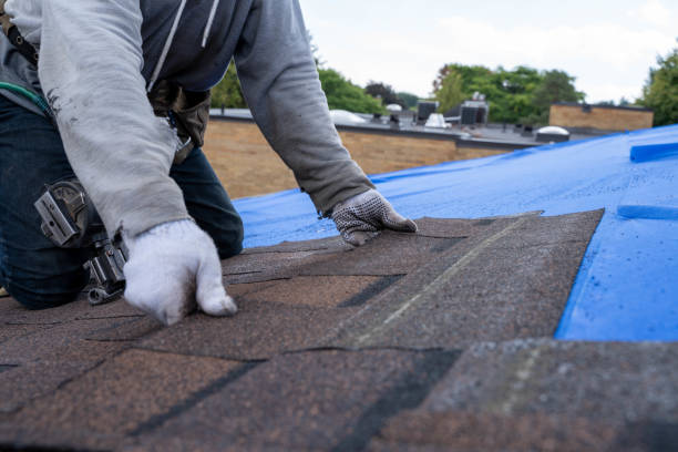 Best Residential Roofing Contractor  in Interlachen, FL